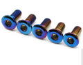 ETM RTR TITANIUM BRAKE ROTOR DISC BOLTS